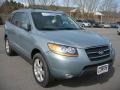 2008 Platinum Sage Hyundai Santa Fe Limited 4WD  photo #17