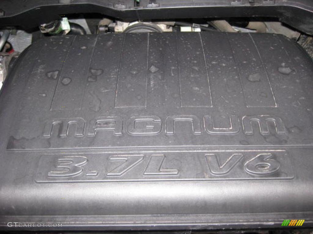 2003 Dodge Ram 1500 ST Regular Cab 3.7 Liter SOHC 12-Valve V6 Engine Photo #46919501