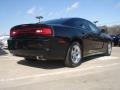 Brilliant Black Crystal Pearl - Charger Rallye Plus Photo No. 3