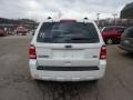2011 White Suede Ford Escape XLT V6 4WD  photo #3