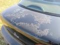 Black - Cavalier Sedan Photo No. 10