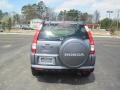 Pewter Pearl - CR-V Special Edition 4WD Photo No. 4