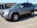 2008 Tungsten Grey Metallic Ford Escape Limited  photo #2