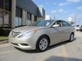 Camel Pearl - Sonata GLS Photo No. 3