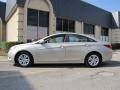 Camel Pearl - Sonata GLS Photo No. 4