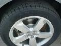 2009 Quartz Gray Metallic Audi Q5 3.2 Prestige quattro  photo #10