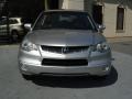 Alabaster Silver Metallic - RDX  Photo No. 5
