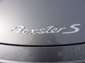 2008 Porsche Boxster S Badge and Logo Photo