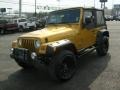 2003 Inca Gold Metallic Jeep Wrangler Sport 4x4  photo #3