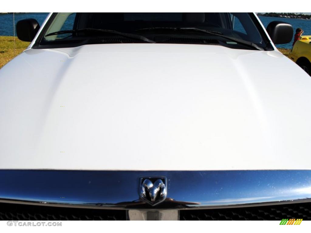 2002 Ram 1500 SLT Quad Cab 4x4 - Bright White / Dark Slate Gray photo #11