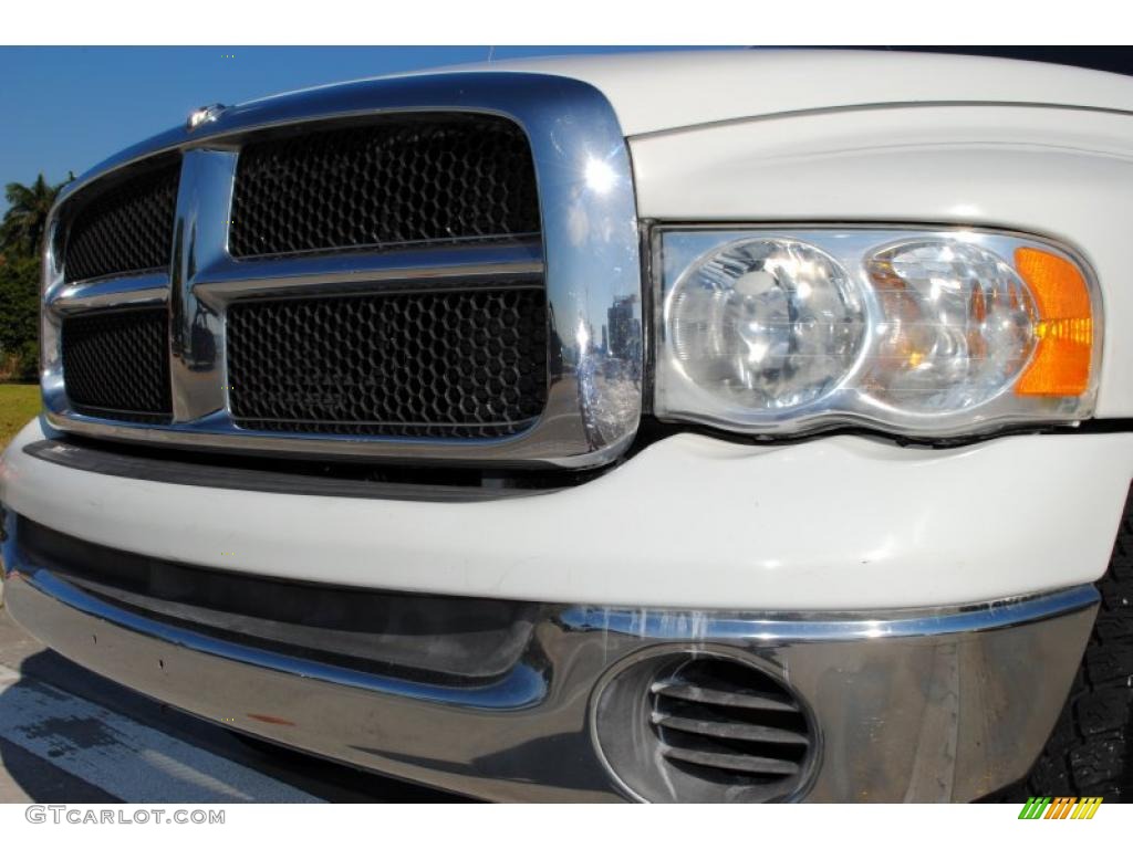 2002 Ram 1500 SLT Quad Cab 4x4 - Bright White / Dark Slate Gray photo #18