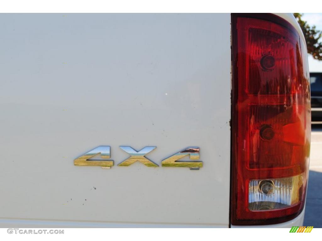 2002 Ram 1500 SLT Quad Cab 4x4 - Bright White / Dark Slate Gray photo #24