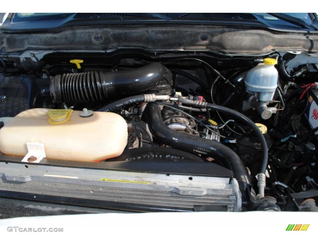 2002 Dodge Ram 1500 SLT Quad Cab 4x4 5.9 Liter OHV 16-Valve V8 Engine Photo #46952250