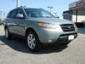 2008 Platinum Sage Hyundai Santa Fe SE  photo #1