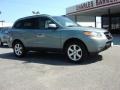 2008 Platinum Sage Hyundai Santa Fe SE  photo #2