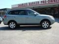 2008 Platinum Sage Hyundai Santa Fe SE  photo #3