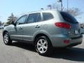 2008 Platinum Sage Hyundai Santa Fe SE  photo #5