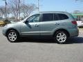 2008 Platinum Sage Hyundai Santa Fe SE  photo #6