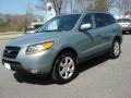 2008 Platinum Sage Hyundai Santa Fe SE  photo #7