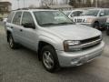 Silverstone Metallic - TrailBlazer LS 4x4 Photo No. 9