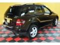 Black - ML 350 4Matic Photo No. 4