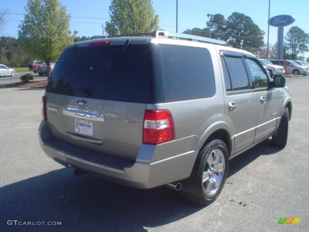 2008 Expedition Limited - Vapor Silver Metallic / Stone photo #5