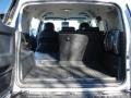 Titanium Metallic - FJ Cruiser 4WD Photo No. 10