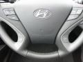 Gray Controls Photo for 2011 Hyundai Sonata #46961958
