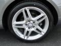 2011 Mercedes-Benz E 350 Coupe Wheel and Tire Photo