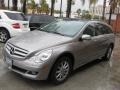 2007 Pewter Metallic Mercedes-Benz R 350 4Matic  photo #5