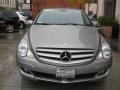 2007 Pewter Metallic Mercedes-Benz R 350 4Matic  photo #6