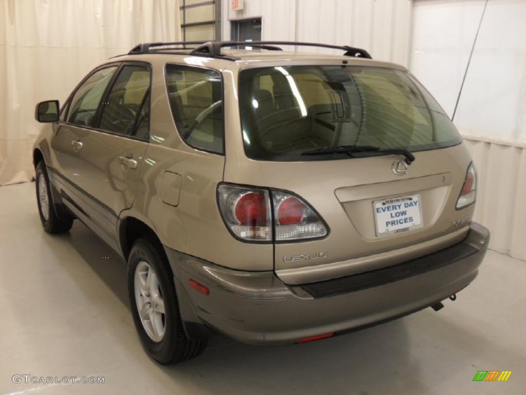 2003 RX 300 - Burnished Gold Metallic / Ivory photo #2