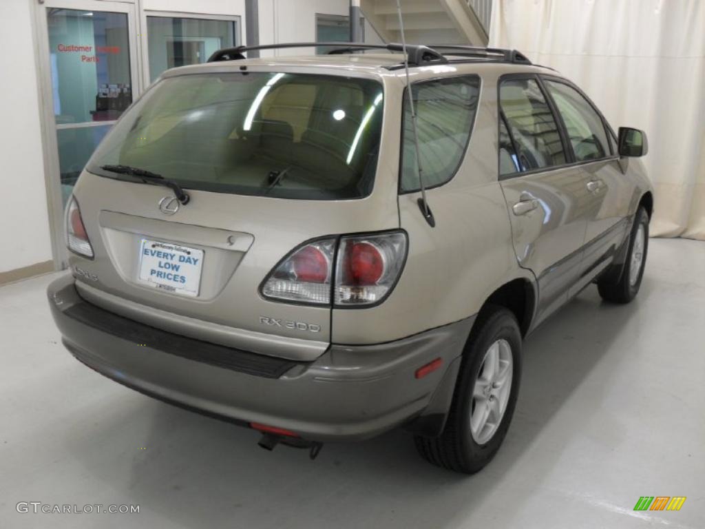 2003 RX 300 - Burnished Gold Metallic / Ivory photo #4