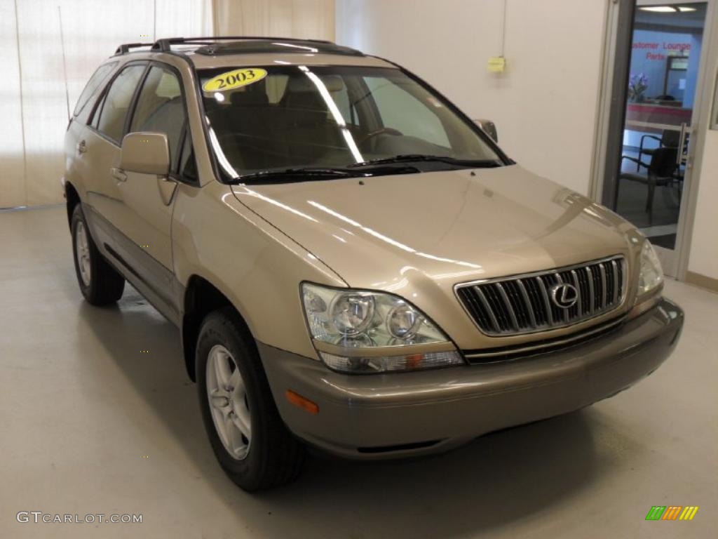 2003 RX 300 - Burnished Gold Metallic / Ivory photo #5