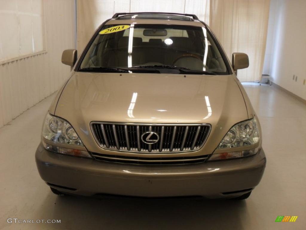 2003 RX 300 - Burnished Gold Metallic / Ivory photo #6