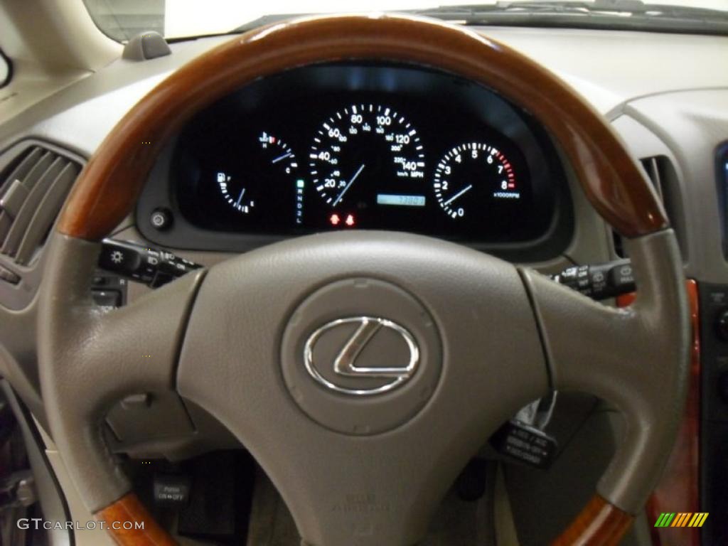 2003 RX 300 - Burnished Gold Metallic / Ivory photo #16