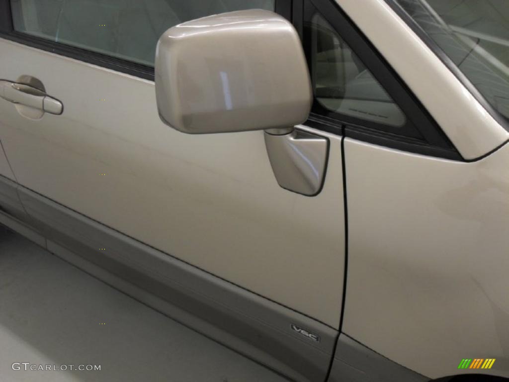 2003 RX 300 - Burnished Gold Metallic / Ivory photo #28