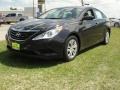 2011 Black Plum Pearl Hyundai Sonata GLS  photo #7