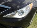 2011 Black Plum Pearl Hyundai Sonata GLS  photo #9