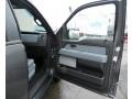 Steel Gray Door Panel Photo for 2011 Ford F150 #46972539