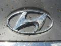 2011 Harbor Gray Metallic Hyundai Sonata SE 2.0T  photo #15