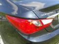 Pacific Blue Pearl - Sonata GLS Photo No. 12