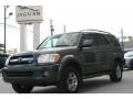 Phantom Gray Pearl - Sequoia SR5 4WD Photo No. 2