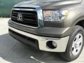 Pyrite Mica 2011 Toyota Tundra Double Cab Exterior