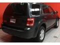 2008 Black Pearl Slate Metallic Ford Escape XLT V6  photo #3