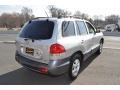 Smart Silver - Santa Fe GLS 4WD Photo No. 3