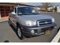 Smart Silver - Santa Fe GLS 4WD Photo No. 4