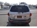 Smart Silver - Santa Fe GLS 4WD Photo No. 24