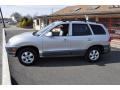 Smart Silver - Santa Fe GLS 4WD Photo No. 30