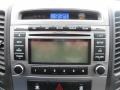 Radiant Silver - Santa Fe GLS 4WD Photo No. 5